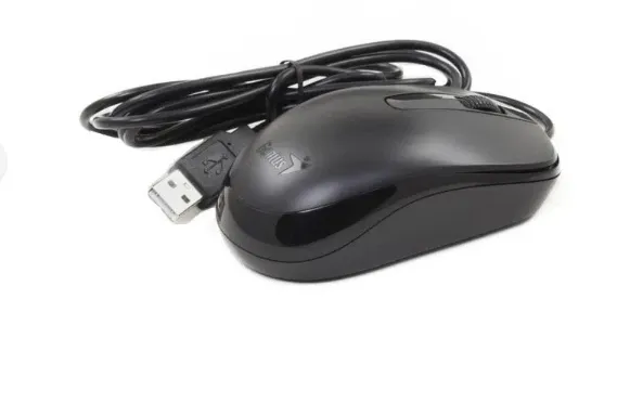 MOUSE GENIUS DX-120 OPTICAL ALAMBRICO (31010105100), vista 3